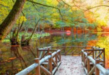 En Güzel Sonbahar Fotoğraflarının Çekileceği Rotalar Fotoğraf çekilecek yerler.