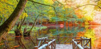 En Güzel Sonbahar Fotoğraflarının Çekileceği Rotalar Fotoğraf çekilecek yerler.