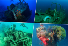 Türkiye’nin En Güzel Dalış Rotaları