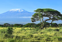 Kenya Artık Yeşil Pasaport Sahibi Türk Vatandaşlarından Vize Talep Ediyor Tüm Ülkelere Vizeyi Kaldırdı