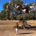 Marakeş: Renklerin Şehrinde Kaybolmak Marakeş: Renklerin Şehrinde Kaybolmak