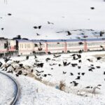 Turistik Doğu Ekspresi 2024-2025 Sezonu Başlıyor! İşte Bu Sezonun Detayları Turistik Doğu Ekspresi’ne Yeni Alternatifler