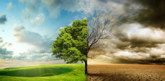 Turizm Sektörü İklim Değişikliği Kaynaklı Risklere Hazırlanmalı❗ Turizm Sektörü İklim Değişikliği