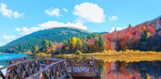 2024’te Öne Çıkacak Tatil Trendleri