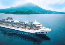 Japonya ve Güney Kore’yi Bir De Lüks Cruise Gemisiyle Keşfedin Japonya gemi turu.