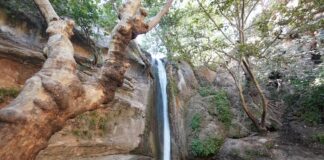 Şırnak Üniversitesi düzenleyeceği 2 yarışma ile kentin tanıtımına katkı sunacak Şırnak, Turizm Potansiyelini Keşfetmek Üzere Kongre ve Çalıştay'a Ev Sahipliği Yapıyor