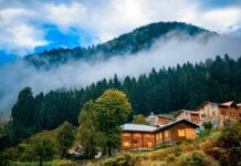 Geceliği 1.090 TL’den Başlayan Bungalov Tatili Rotaları