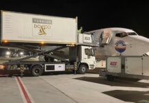 SunExpress Turkish DO&CO ile Anlaştı SunExpress Turkish DO&CO