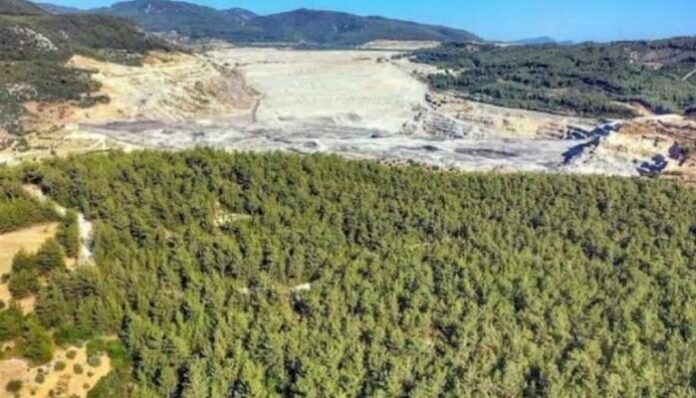 akbelen ormani Muğla Akbelen’deki Kamulaştırma Kararı