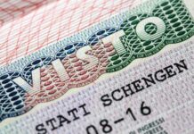 Rusların Schengen Krizi Maç Vizesi Nasıl Alınır? Almanya'dan Hollanda Maçı İçin Hızlı Vize