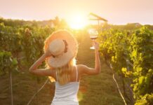 Tarih ve Gastronomi Tutkunlarına Özel Trakya Bağ Rotaları Bağ rotası