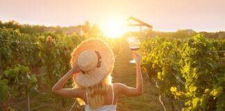 Tarih ve Gastronomi Tutkunlarına Özel Trakya Bağ Rotaları Bağ rotası