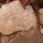 Dünyanın En Sevimli Eşeği Karahantepe’de Bulundu Karahantepe'de kazı alanında koşar halde betimlenen yaban eşeği figürü bulundu