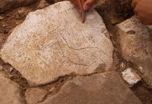 Dünyanın En Sevimli Eşeği Karahantepe’de Bulundu Karahantepe'de kazı alanında koşar halde betimlenen yaban eşeği figürü bulundu