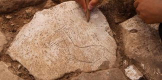 Dünyanın En Sevimli Eşeği Karahantepe’de Bulundu Karahantepe'de kazı alanında koşar halde betimlenen yaban eşeği figürü bulundu