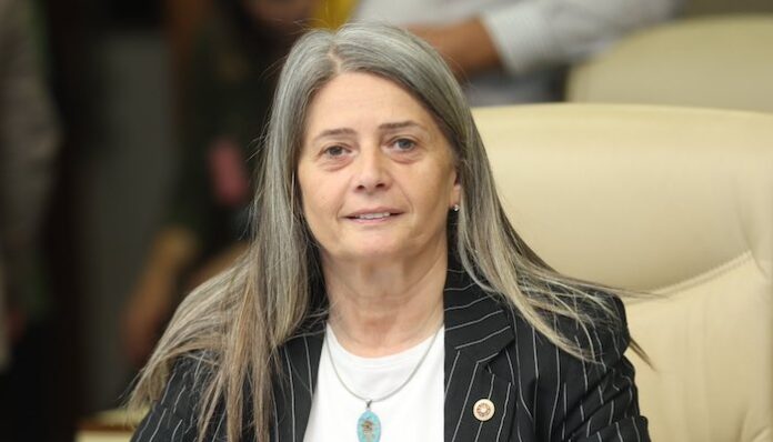 Madencilik Faaliyetleri Nedeniyle Trabzon