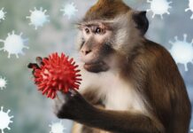 Avrupa’da M Çiçeği Uyarısı: Risk Düşük Ancak İthal Vakalar Artabilir Avrupa'da M Çiçeği Uyarısı: Risk Düşük Ancak İthal Vakalar Artabilir