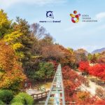 Kore’ye İlk Adım Turu’nda Gezeceğiniz En Güzel Yerler Kore'de gezilecek yerler