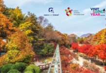 Kore’ye İlk Adım Turu’nda Gezeceğiniz En Güzel Yerler Kore'de gezilecek yerler