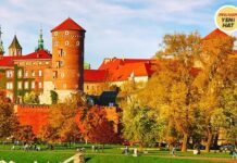 İzmir İçin Yeni Yurt Dışı Uçuş Noktasını Duyurdu İzmir İçin Yeni Yurt Dışı Uçuş Noktasını Duyurdu