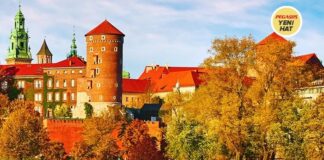 İzmir İçin Yeni Yurt Dışı Uçuş Noktasını Duyurdu İzmir İçin Yeni Yurt Dışı Uçuş Noktasını Duyurdu