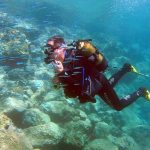 Saros Körfezi’nde Dalgıçlar Batık Gemiyi Görüntüledi Saroz Körfezi Foto:AA