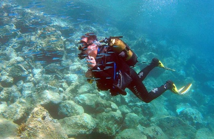 Dalgic FOTO AA Saroz Körfezi Foto:AA