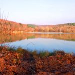 Turizme Kazandırılan Düzce’deki Korugöl Tabiat Parkı’na Ulaşım Kolaylaştırılıyor Düzce - Korugöl Tabiat Parkı