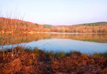 Turizme Kazandırılan Düzce’deki Korugöl Tabiat Parkı’na Ulaşım Kolaylaştırılıyor Düzce - Korugöl Tabiat Parkı