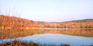 Turizme Kazandırılan Düzce’deki Korugöl Tabiat Parkı’na Ulaşım Kolaylaştırılıyor Düzce - Korugöl Tabiat Parkı