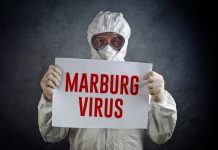 Marburg Virüsüne Karşı Aşılamalar Başladı Marburg virüsü