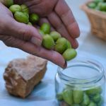 Sofralık Zeytinde Yine Dünya Birincisiyiz Sofralık Zeytinde Yine Dünya Birincisiyiz