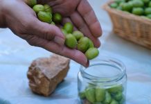 Sofralık Zeytinde Yine Dünya Birincisiyiz Sofralık Zeytinde Yine Dünya Birincisiyiz