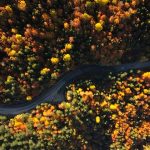 Film Sahnesinden Fırlamış Gibi Drone Çekimi Yapabileceğiniz Sonbahar Rotası Drone çekimi