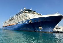 Lüks Cruise Gemisinde Bir Seyir Günü Nasıl Geçer?