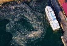 Marmara Denizi’nde Müsilaj Görüldü