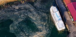 Marmara Denizi’nde Müsilaj Görüldü