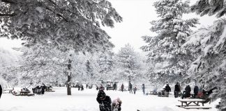 Kış Rotaları: Türkiye’nin Karlı Cennetleri
