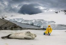 Antarktika’da Turizm Kaynaklı Kirlilik Artıyor: Kıta Ziyarete Kapatılacak mı?