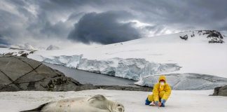 Antarktika’da Turizm Kaynaklı Kirlilik Artıyor: Kıta Ziyarete Kapatılacak mı?
