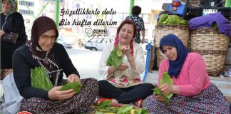 Türkiye’de O İlçeyi Kadınlar Yönetiyor