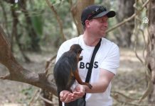 Gambiya Maymun Parkı: Doğayla İç İçe Eşsiz Bir Macera