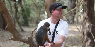 Gambiya Maymun Parkı: Doğayla İç İçe Eşsiz Bir Macera