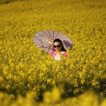 Deprem Stresinden Uzaklaşmak İçin Araba ile Kaçamak: Hafta Sonu Rota Önerisi