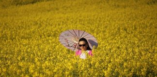 Deprem Stresinden Uzaklaşmak İçin Araba ile Kaçamak: Hafta Sonu Rota Önerisi