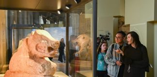 Türkiye’nin Marka Yüzü Göbeklitepe