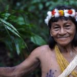 Amazon’un Koruyucuları: Waorani Kabilesi ve Bameno’nun Direnişi