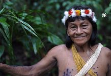 Amazon’un Koruyucuları: Waorani Kabilesi ve Bameno’nun Direnişi
