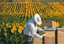 Arıcılık Rotaları Turizme Katkı Sağlayacak