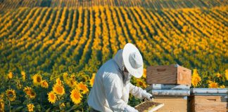 Arıcılık Rotaları Turizme Katkı Sağlayacak